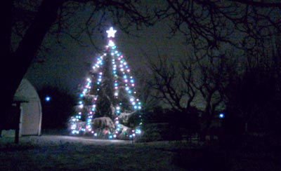 L’albero di Natale a Leinì L’albero di Natale a Leinì