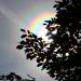 Pochi istanti prima del sacro darshan di Swami Roberto, questo meraviglioso segno si è fatto ammirare nel cielo dell'ashram – Leini, Domenica 19 giugno 2011