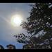 Pochi istanti prima del sacro darshan di Swami Roberto, questo meraviglioso segno si è fatto ammirare nel cielo dell'ashram – Leini, Domenica 19 giugno 2011