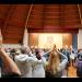 Il Darshan del 17 novembre 2019